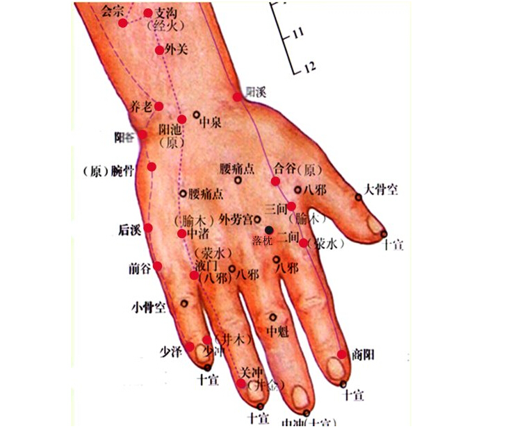 阳谷穴位于手腕尺侧,尺骨茎突与三角骨之间的凹陷处,即手掌侧面连接