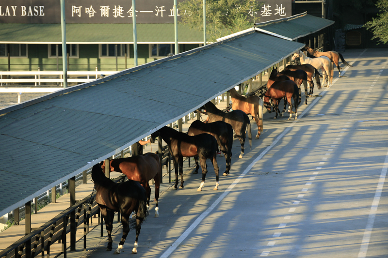 中国