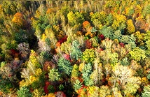 【VR全景航拍】长白山下的秋天