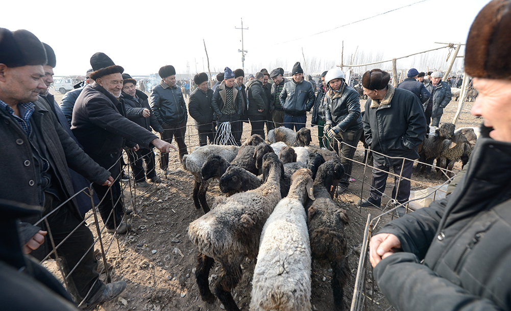 新疆喀什：冬日火热的“牛羊巴扎”