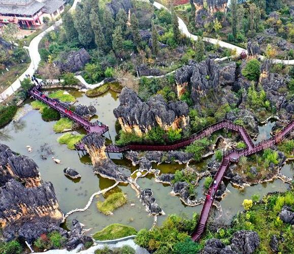 云南：黑石箐石林生态美