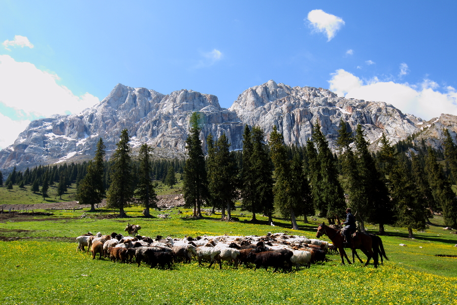 察布查尔县：神游白石峰