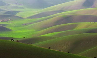 那拉提风景美如画