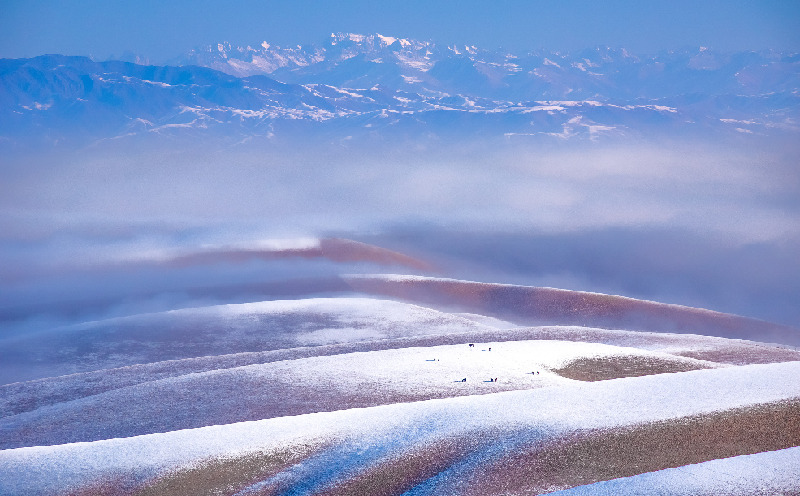 新疆是个好地方|遥远冬牧场 雪后入画来