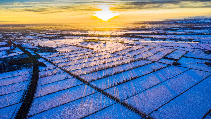 新疆是个好地方|邂逅霍城：看冰雪中的&ldquo;中国薰衣草之乡&rdquo;