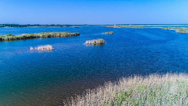 4A级景区拉里昆国家湿地公园