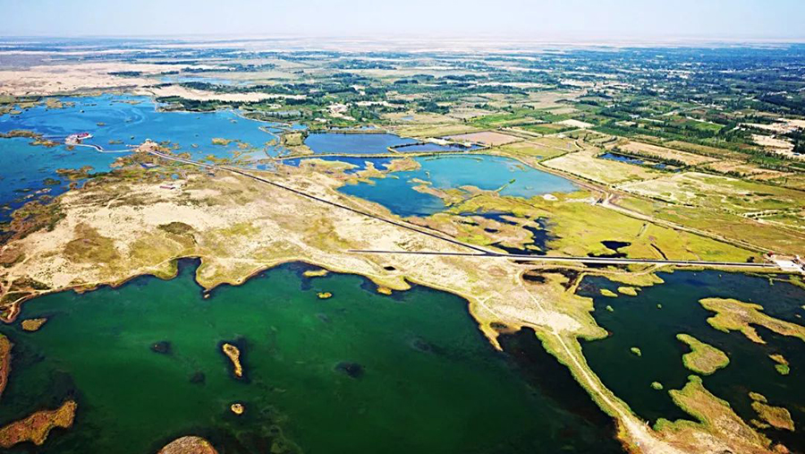 &ldquo;云&rdquo;游和田（第10期）|拉里昆国家湿地公园