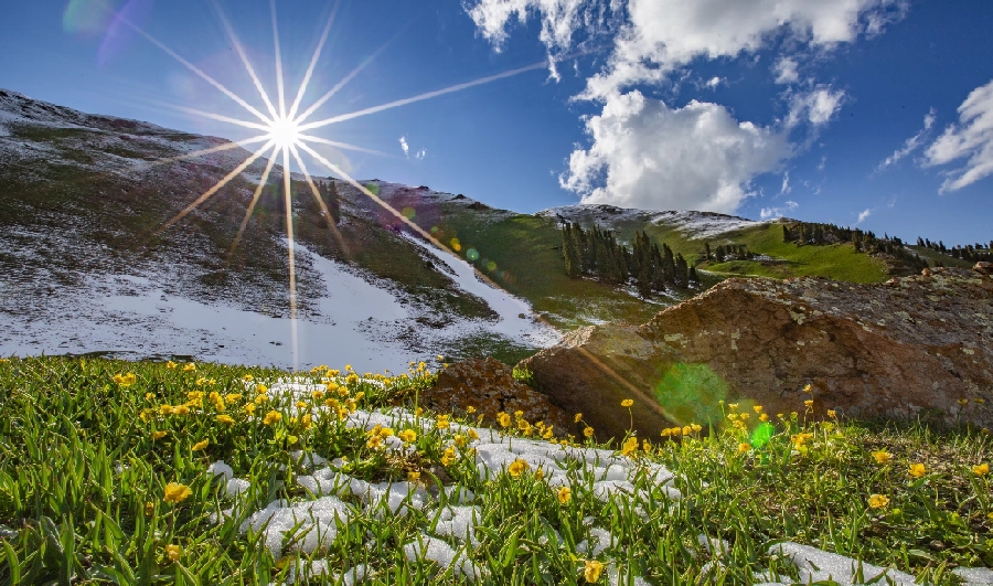 新疆是个好地方|面朝雪山 草原花开