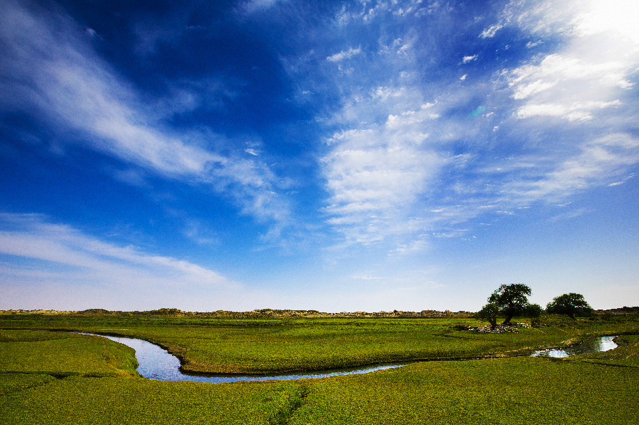 盛夏之光&middot;策勒县达玛沟湿地公园