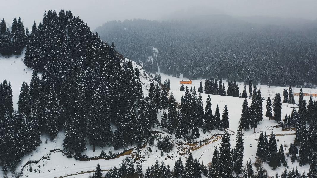 科桑国家森林公园：春虽至 雪亦浓