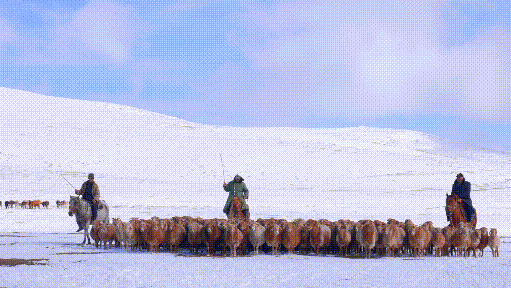新疆特克斯：塞外草原深秋沐雪