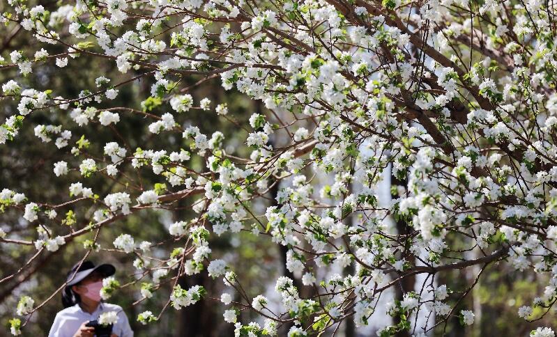 春到人间草木知