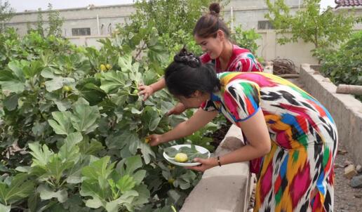 新疆库车：&ldquo;方寸地&rdquo;成致富&ldquo;新路子&rdquo;