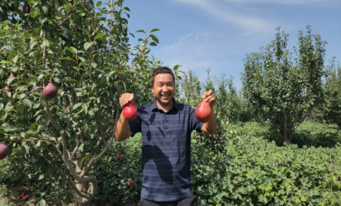 蓝红黄绿&hellip;&hellip;五彩&ldquo;丰&rdquo;景绘就库尔勒乡村振兴新画卷