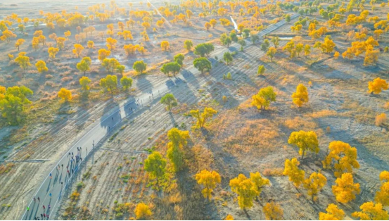 极限越野 挑战自我&mdash;&mdash;追日之旅2024&ldquo;双塔&rdquo;极限越野挑战赛在尉犁激情开赛