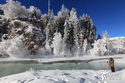 和静县巩乃斯森林公园已进入拍摄雪景最佳期